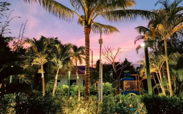 Soficu Eden Dominicus