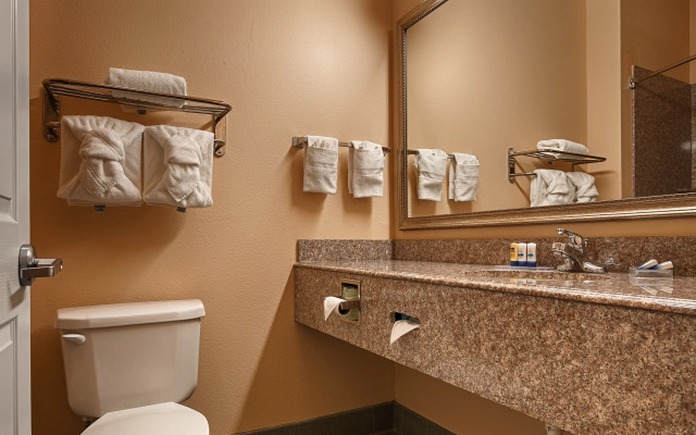 Best Western Plus New Caney Inn & Suites