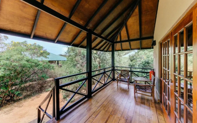 Cinnamon Wild Yala