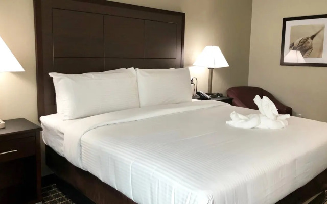Alexis Hotel & Banquets Dallas Park Central Galleria