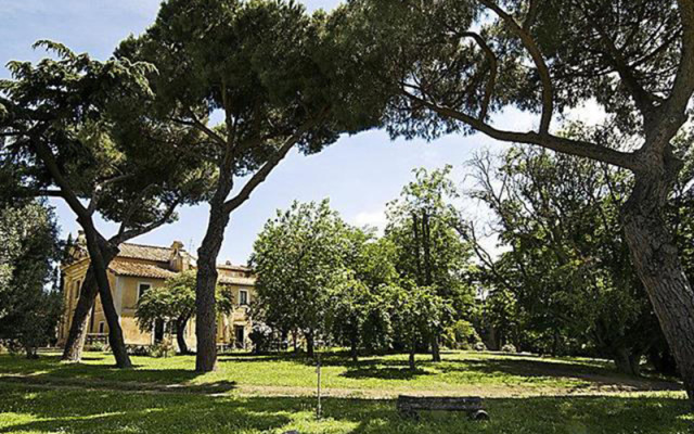 Falcognana - INH 22666