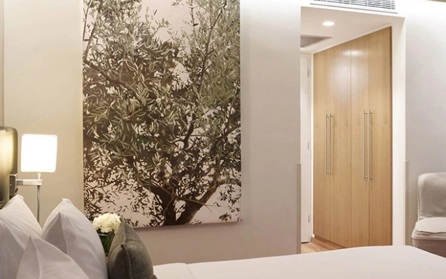 Superior with Atrium View Double room (full double bed) (no window, bed type is subject to availability)