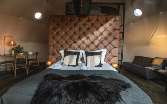 Reykjavik Domes