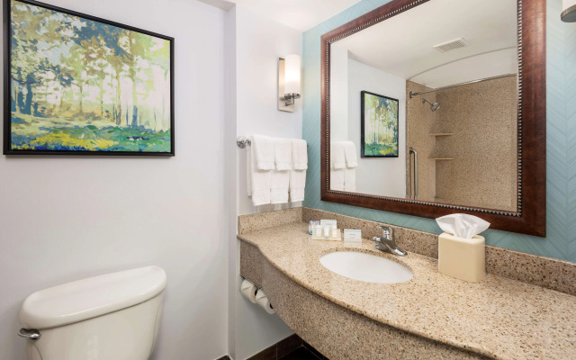 Hilton Garden Inn Lafayette/Cajundome