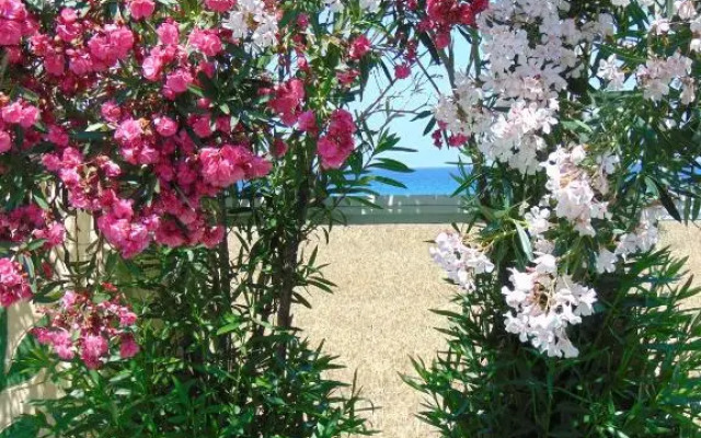 Отель Nirvana Beach 