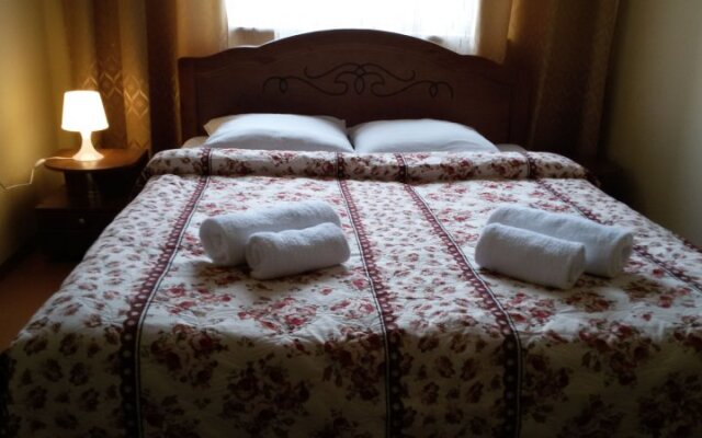 Mini-Hotel Aska