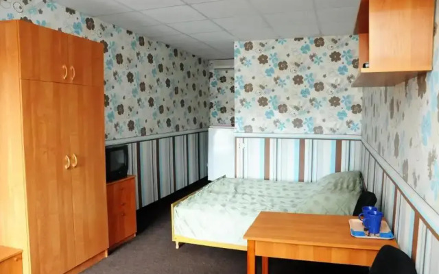 Pansion Kruiz-1 Guest House