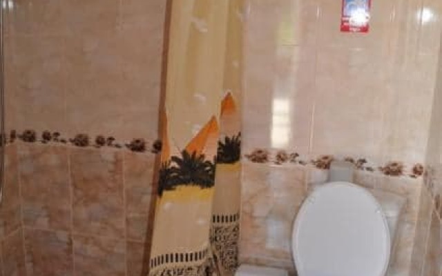 Mini-hotel U Dzhanayevyh
