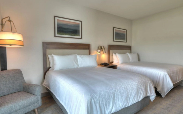 Holiday Inn & Suites Pigeon Forge Convention Center by IHG