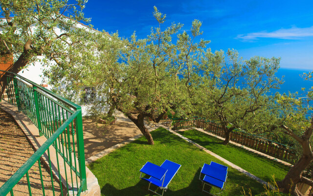 The Lizard - INH 24459