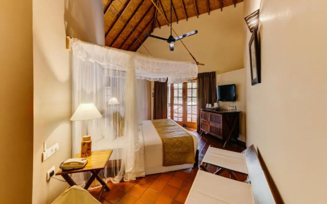 Cinnamon Wild Yala