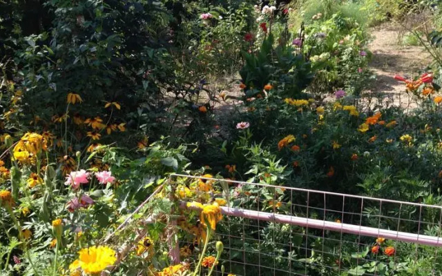 Y Alekseevicha Guest House