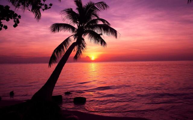 Tropic Tree Hotel Maldives