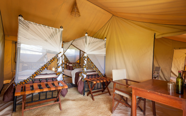 Gnu Ndutu Camp