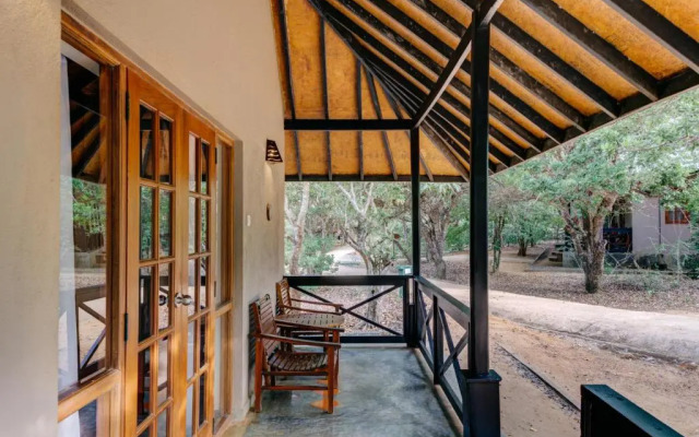 Cinnamon Wild Yala
