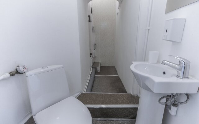 Studii Spb Chapygina