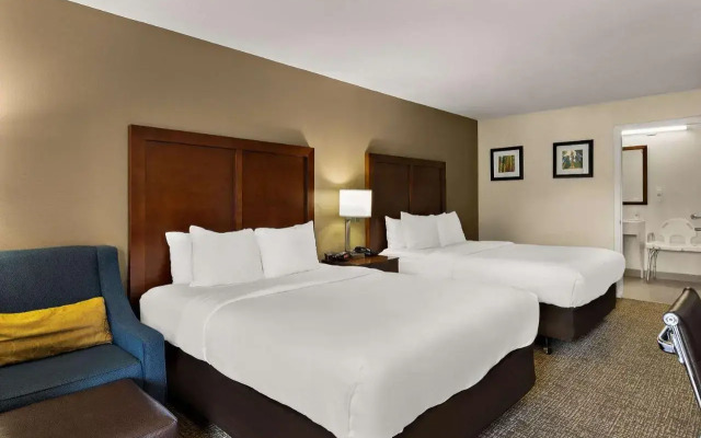 Comfort Inn & Suites Sequoia/Kings Canyon