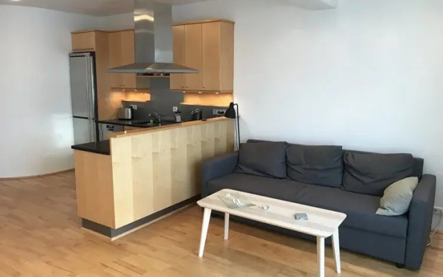 Laugavegur Penthouse Apartment