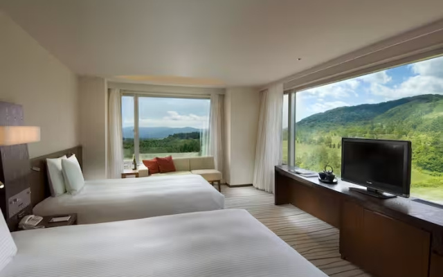 Deluxe Panorama Twin room (트윈 침대 2개) 사진 2