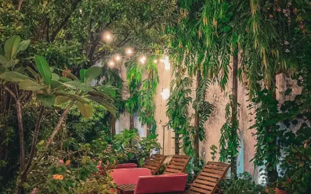 The Birdcage Boutique