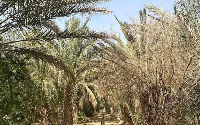 Auberge Camping Sable D'or