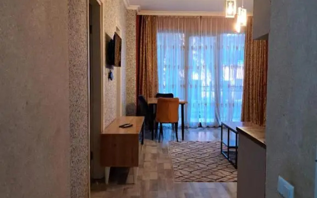 Karvi Hostel & Suites