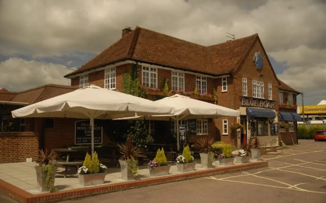 The Blue Boar