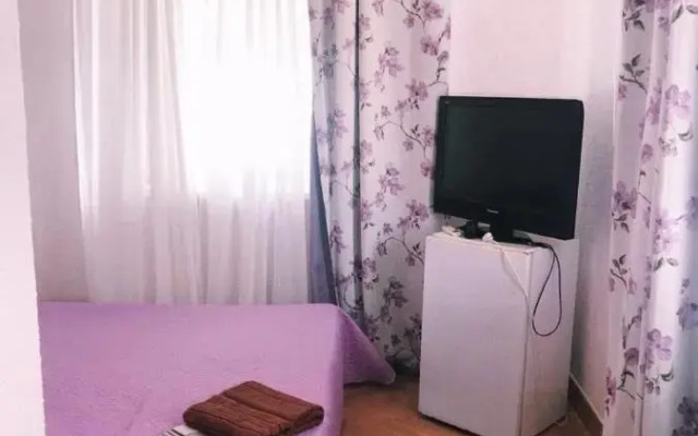 Guest House Sashenka