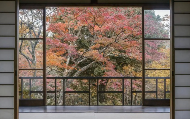 Ume/Kodachi room 사진 4