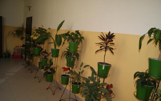 Artari Guest House