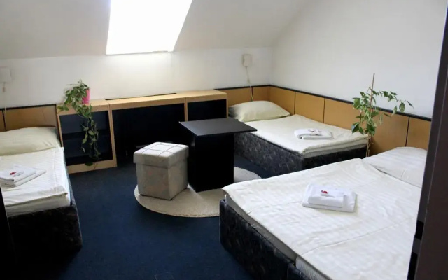 Hotel Atos