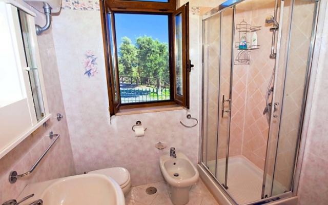 The Lizard - INH 24459