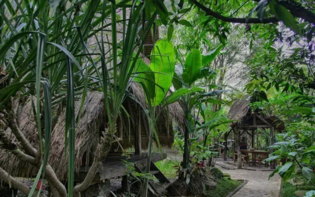 Sapulidi Cafe, Resort & Gallery