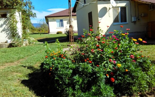 Domik V Derevne Guest House