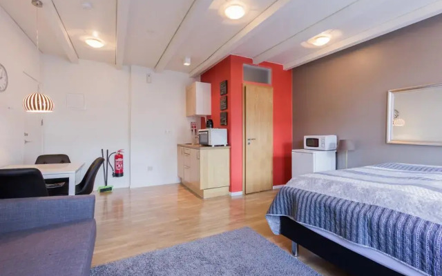 Reykjavik Central Apartments