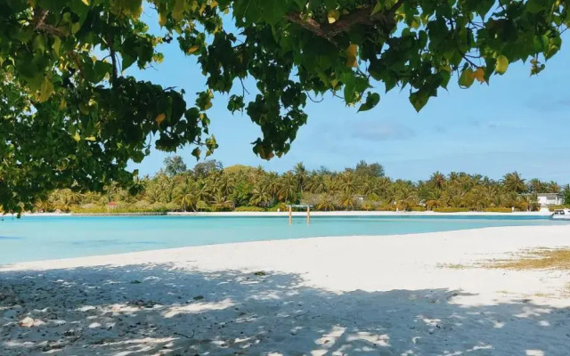 La Isla Tropica - Maldives