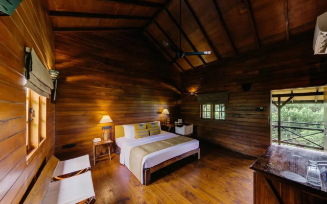 Cinnamon Wild Yala