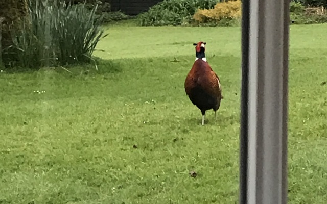 Tŷ Mawr Country Hotel