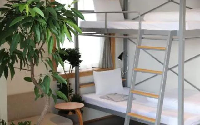 Greenery Double room (벙커 침대) 사진 2