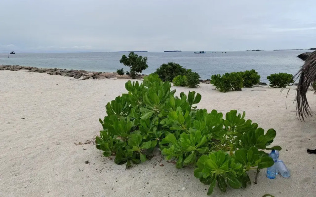 Vinavi in Thulhaadhoo