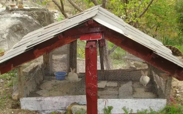 Jamwal Villa Homestay Himachal Pradesh