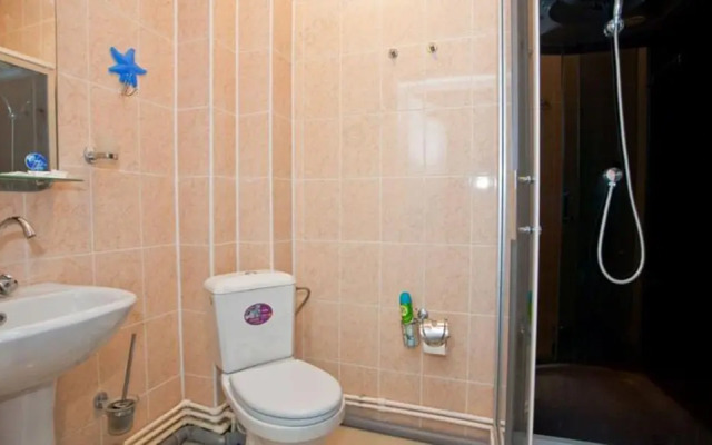 Guest house Alexandr