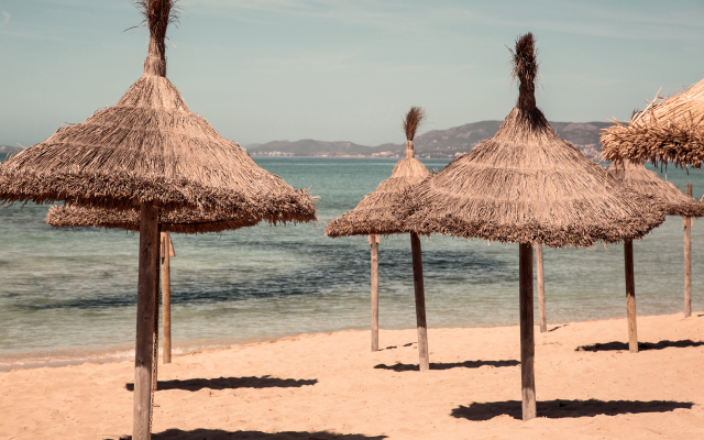Caramelo Palma Beach