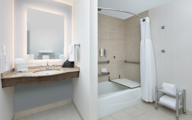 Hilton Garden Inn Dallas/Arlington