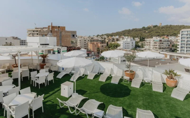 Gomila Palma Apartments - New Opening