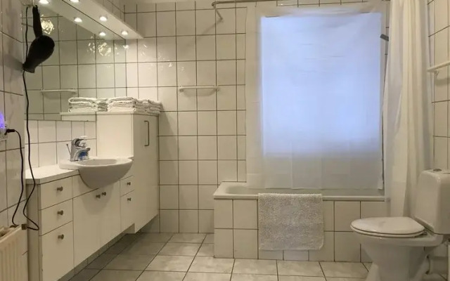 Laugavegur Penthouse Apartment