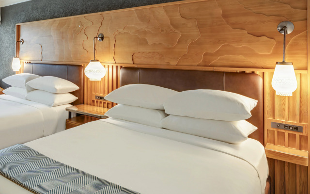 The Wildbirch Hotel — JDV by Hyatt