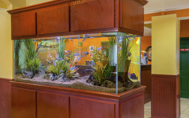 Quality Inn & Suites Galveston - Beachfront