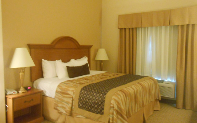 Best Western Plus New Caney Inn & Suites