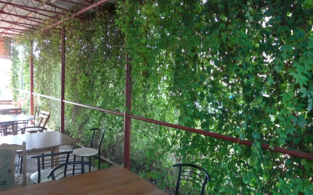 Guest House U Mashenki